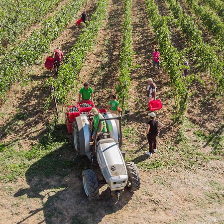 Il Querciolo - Azienda Biologica, Agriturismo E Cantina Marciano della Chiana Exterior foto