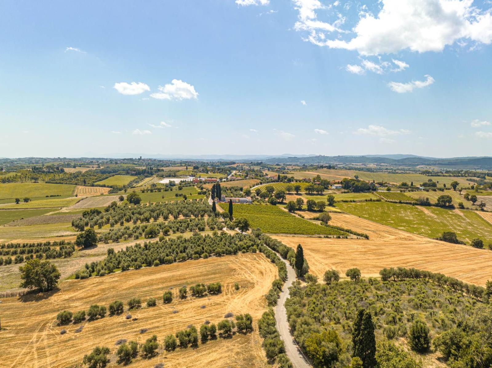 Il Querciolo - Azienda Biologica, Agriturismo E Cantina Marciano della Chiana Exterior foto