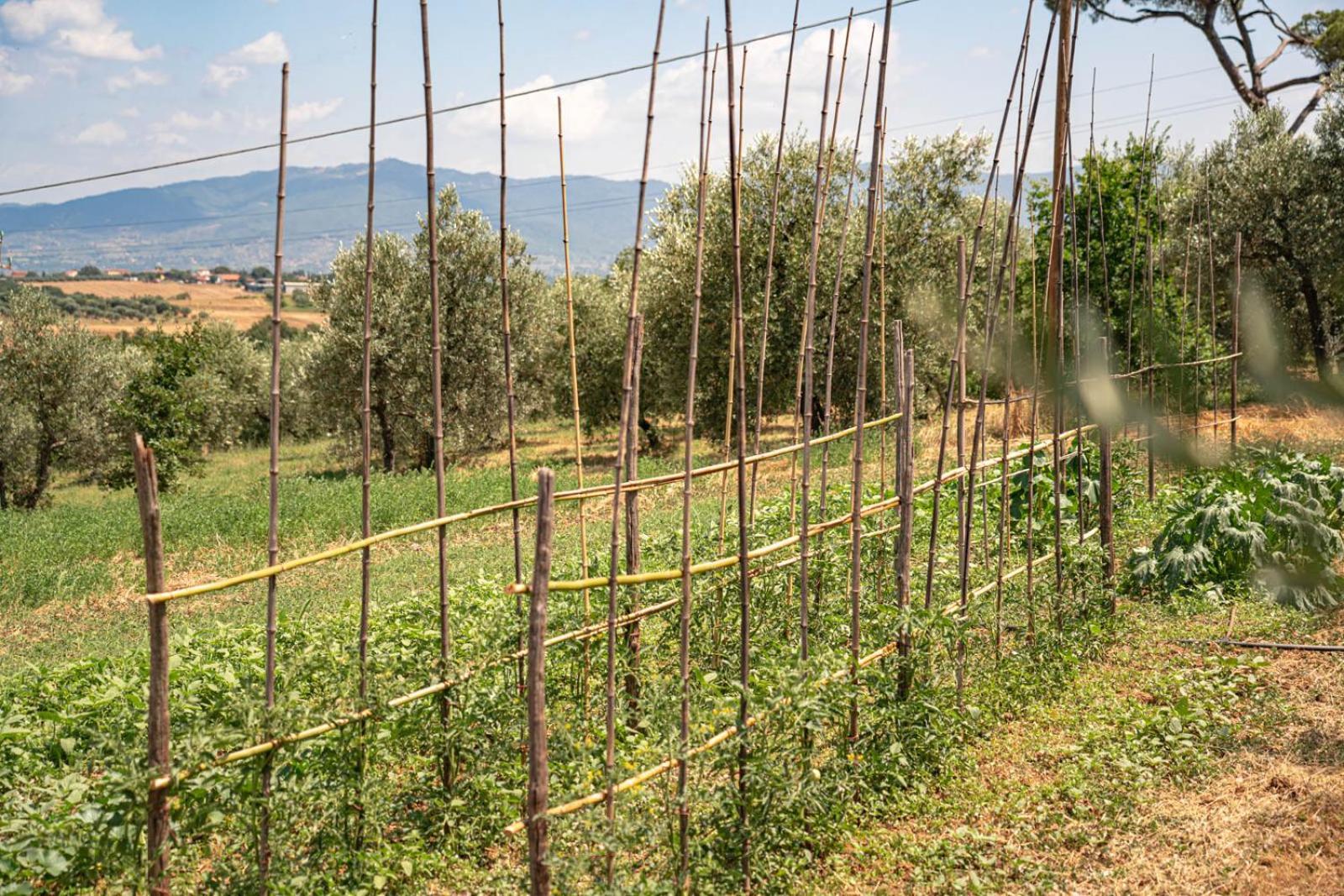 Il Querciolo - Azienda Biologica, Agriturismo E Cantina Marciano della Chiana Exterior foto