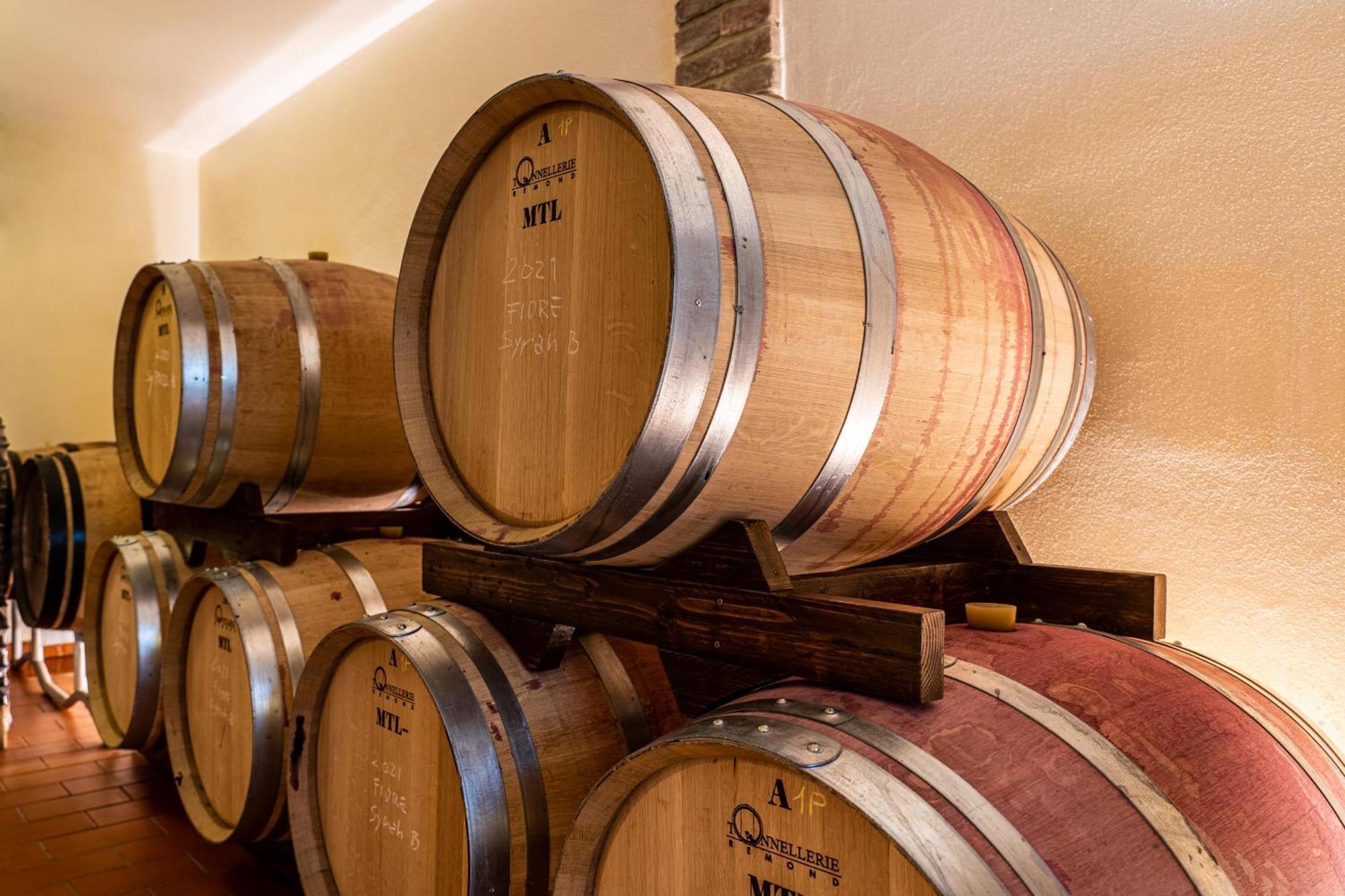Il Querciolo - Azienda Biologica, Agriturismo E Cantina Marciano della Chiana Exterior foto