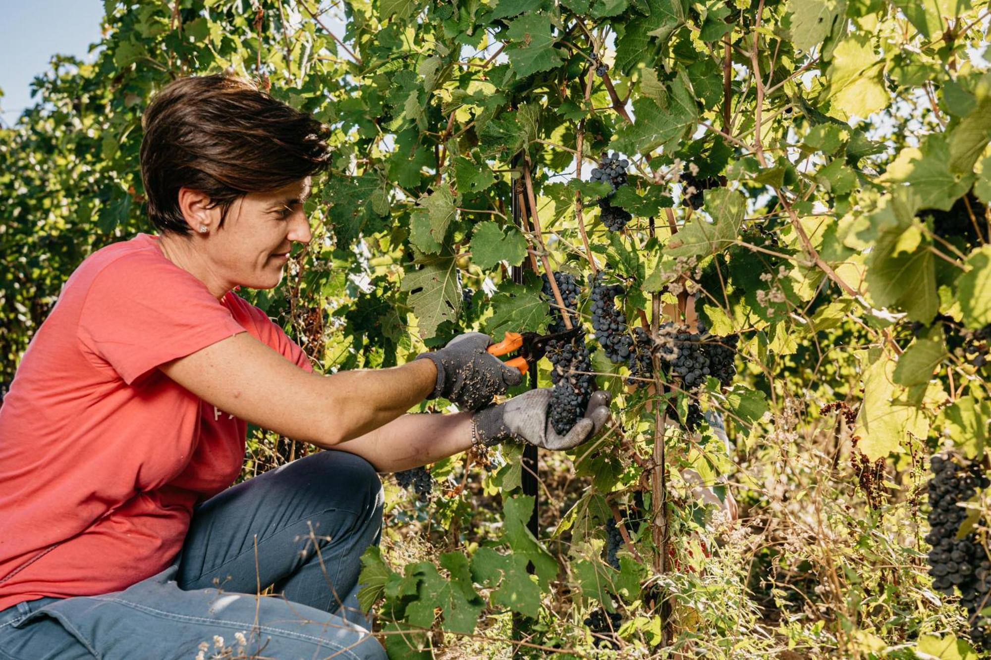 Il Querciolo - Azienda Biologica, Agriturismo E Cantina Marciano della Chiana Exterior foto